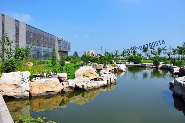 包含圖片/包含樣板圖 (2)