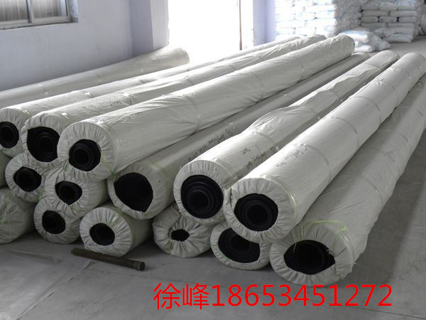 長(zhǎng)絲短絲土工膜施工圖片/長(zhǎng)絲短絲土工膜施工樣板圖 (2)