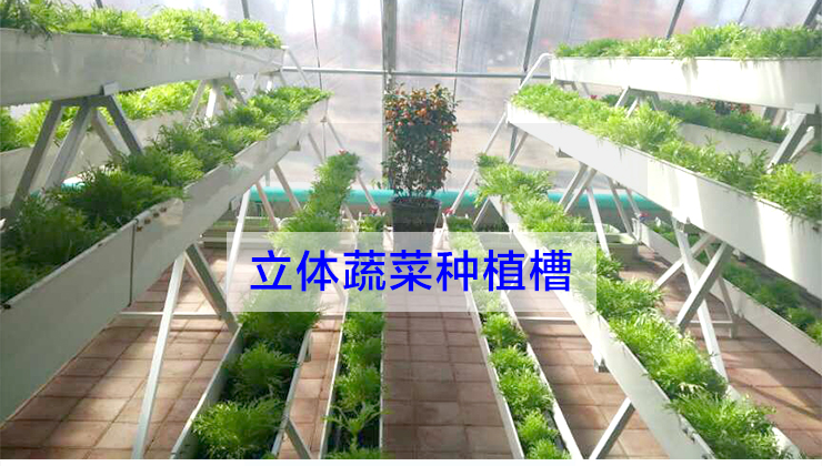 河北立體蔬菜種植槽圖片