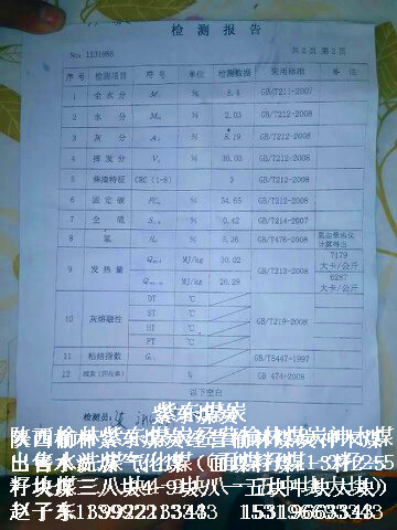 大塊煤圖片/大塊煤樣板圖 (4)