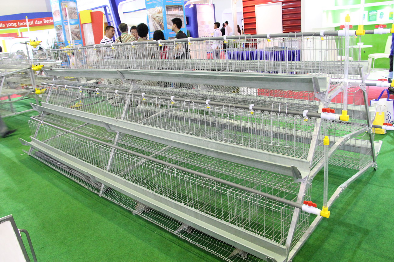 供應(yīng)方圓銷售的蛋雞籠，自動化養(yǎng)雞設(shè)備