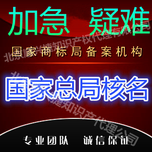 北京市待理公司名称国家工商总局核准确保厂家供应待理公司名称国家工商总局核准确保