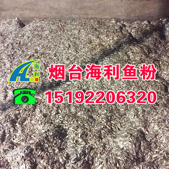 進(jìn)口魚粉圖片/進(jìn)口魚粉樣板圖 (3)