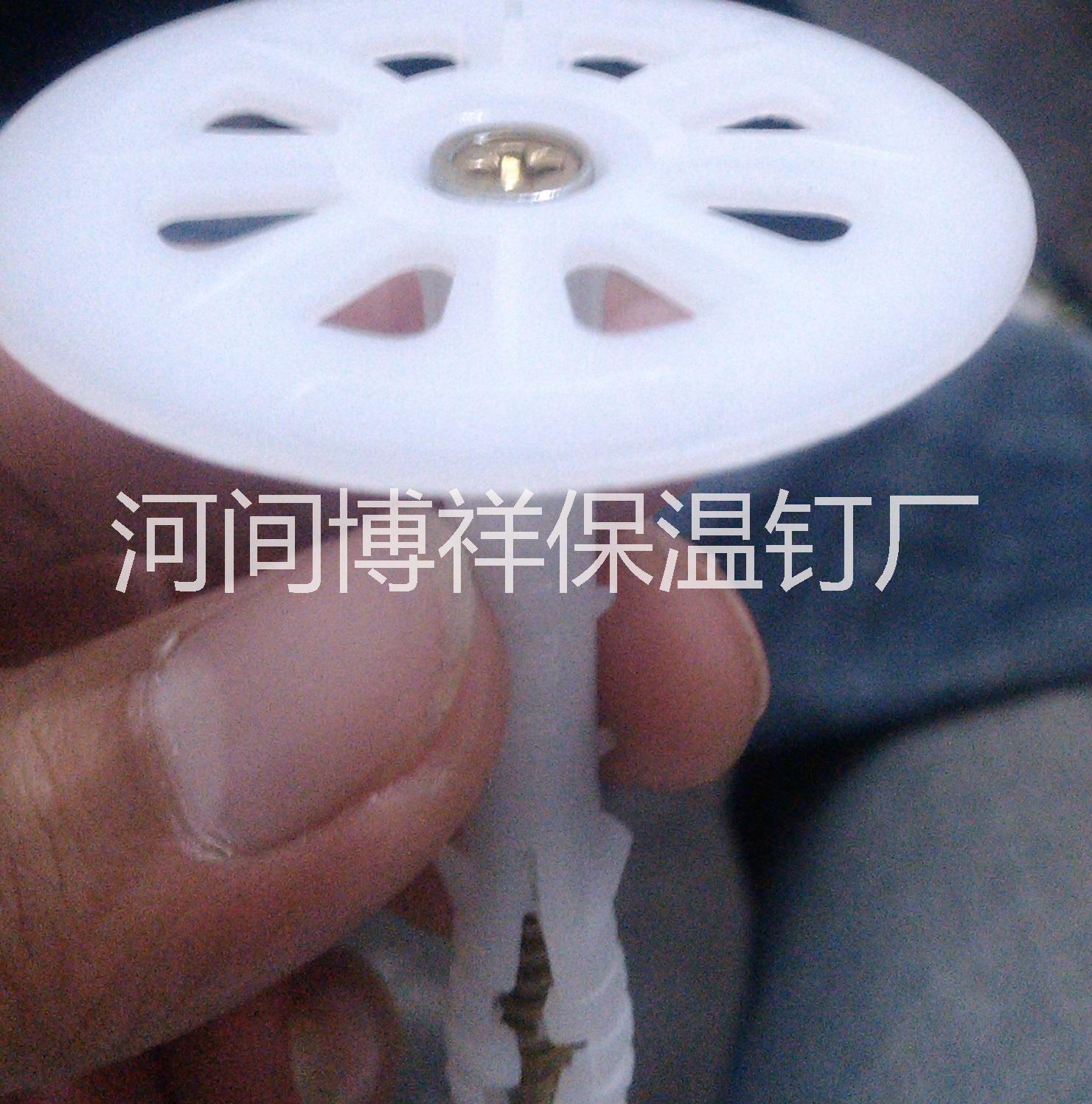 南京保溫釘圖片/南京保溫釘樣板圖 (4)