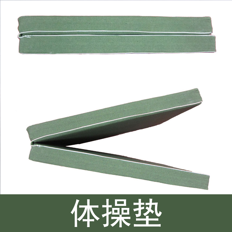 健身體操墊圖片/健身體操墊樣板圖 (2)