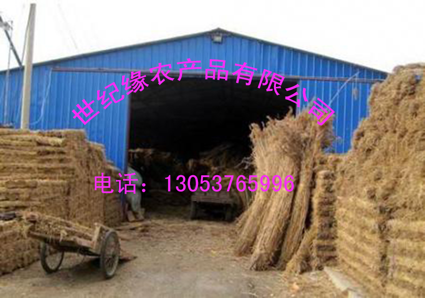 供應(yīng)南寧防汛草袋，杭州哪里有賣草袋的，無(wú)錫蘇州防滑草袋，浙江防滑草包，