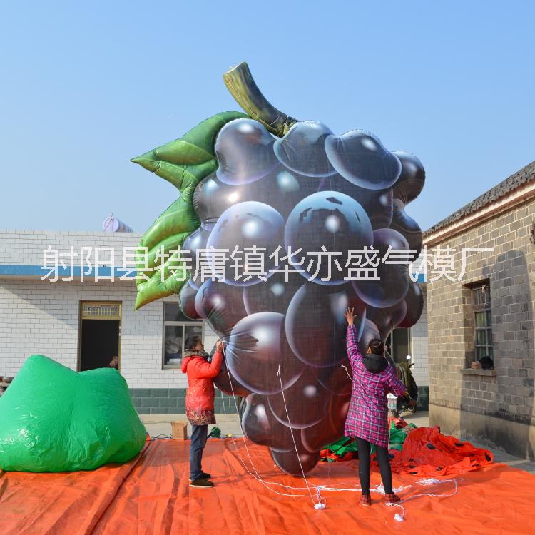 升空葡萄氣模圖片/升空葡萄氣模樣板圖 (4)