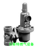 精品費(fèi)希爾燃?xì)釸622-DFF調(diào)圖片