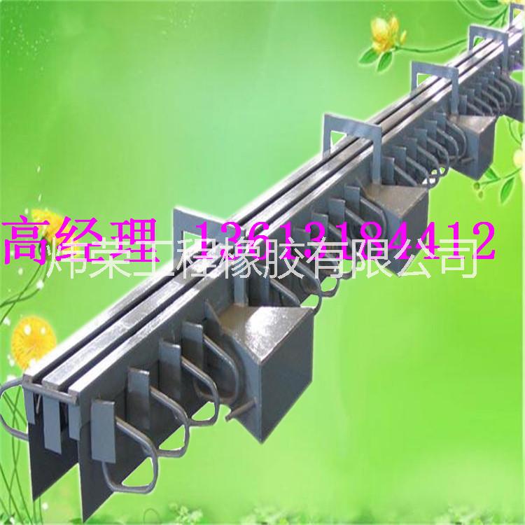 SSFB梳齒型橋梁伸縮縫-伸縮縫圖片