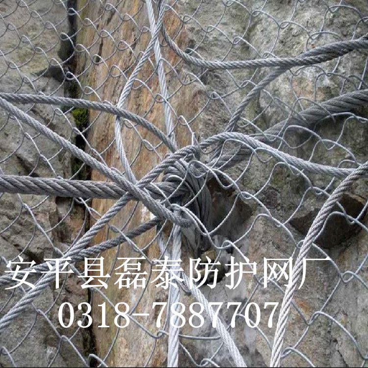 SPIDER绞索网 蜘蛛防护网图片