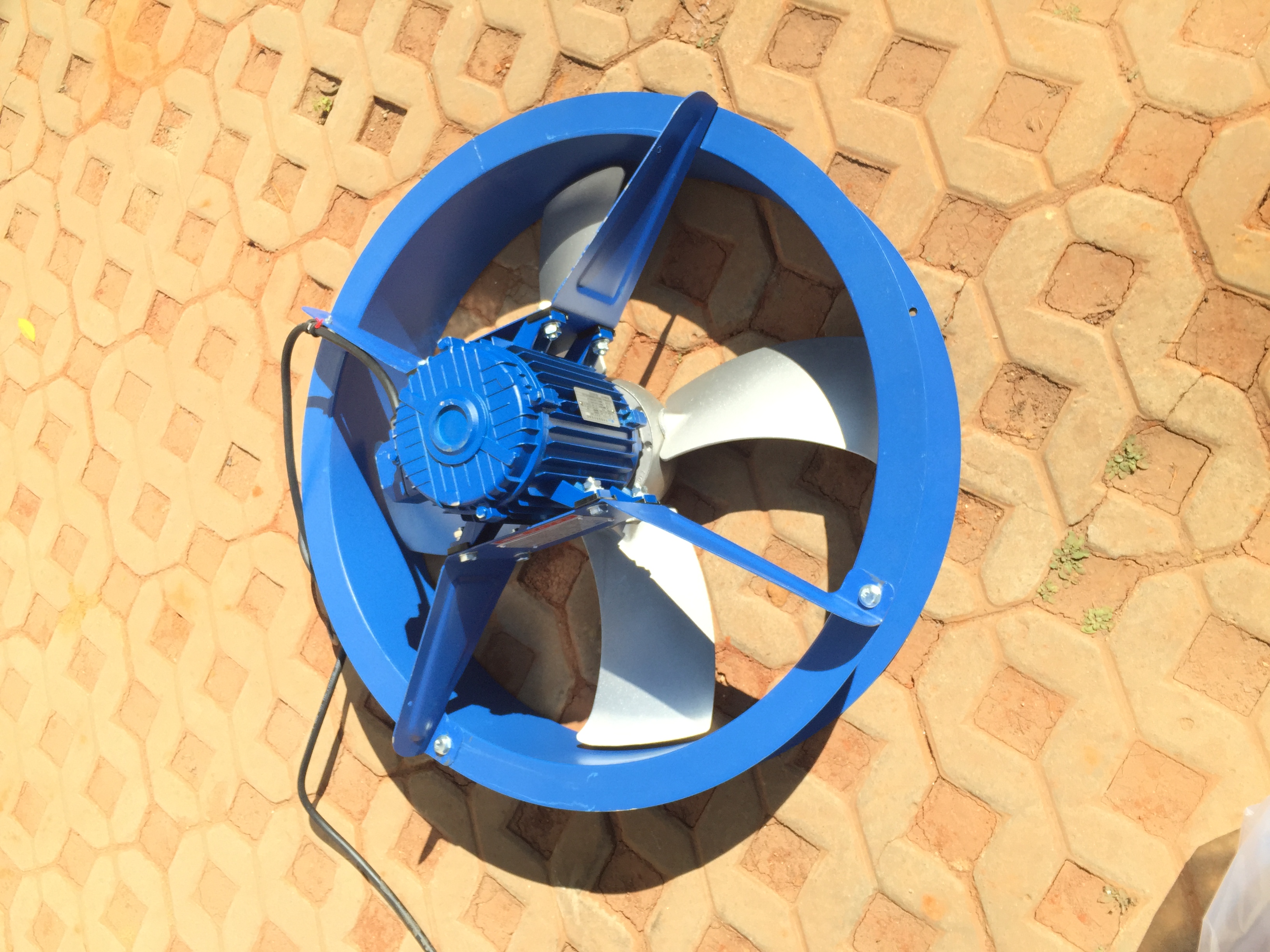 烤煙圖片/烤煙樣板圖 (4)