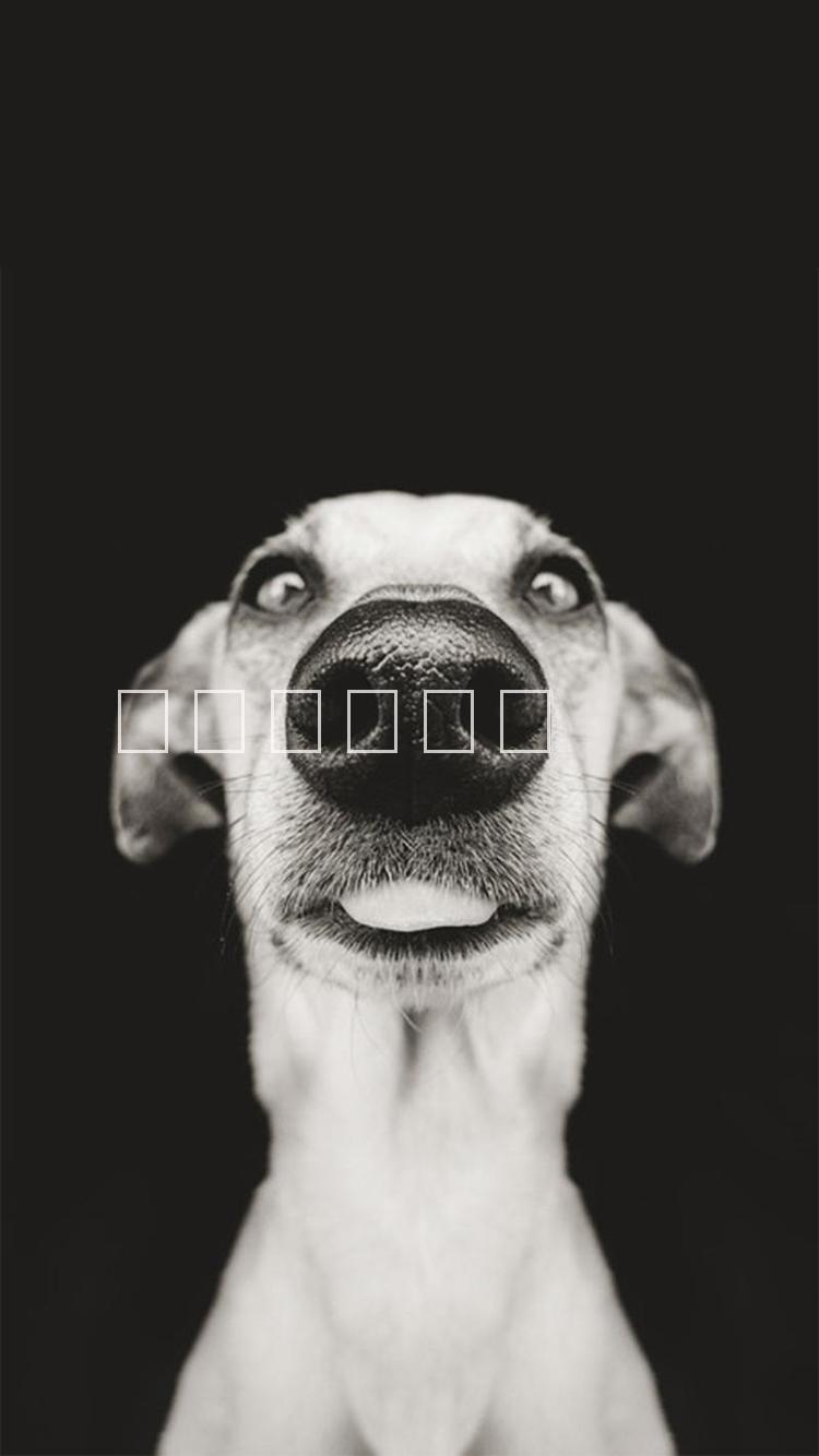 111-測試圖片/111-測試樣板圖 (1)