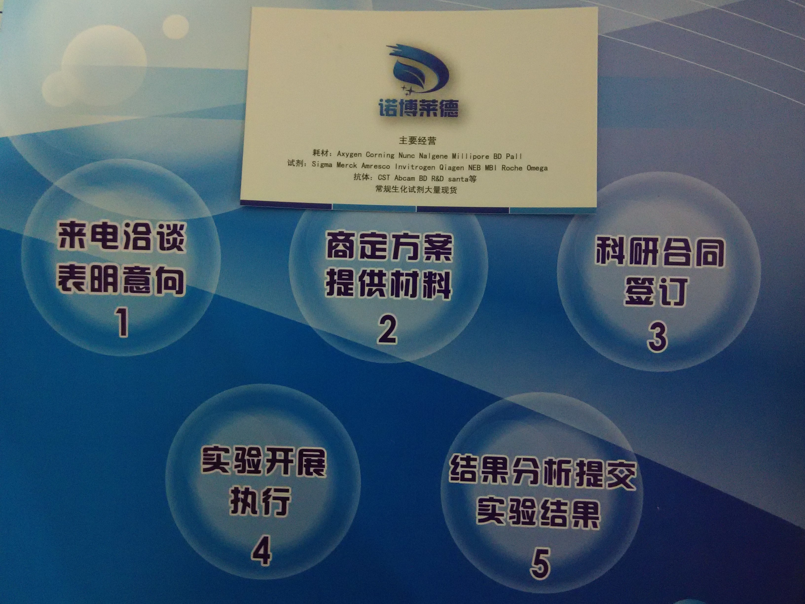 龍膽紫圖片/龍膽紫樣板圖 (4)