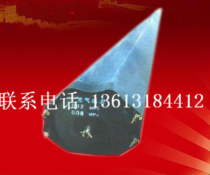 充氣芯膜圖片/充氣芯膜樣板圖 (2)