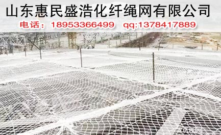 盛浩化纖 熱銷安全網(wǎng) 耐用安全網(wǎng)圖片/盛浩化纖 熱銷安全網(wǎng) 耐用安全網(wǎng)樣板圖 (2)
