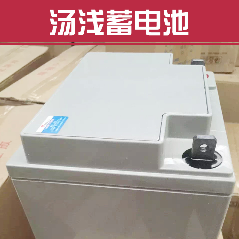 湯淺蓄電池圖片/湯淺蓄電池樣板圖 (2)