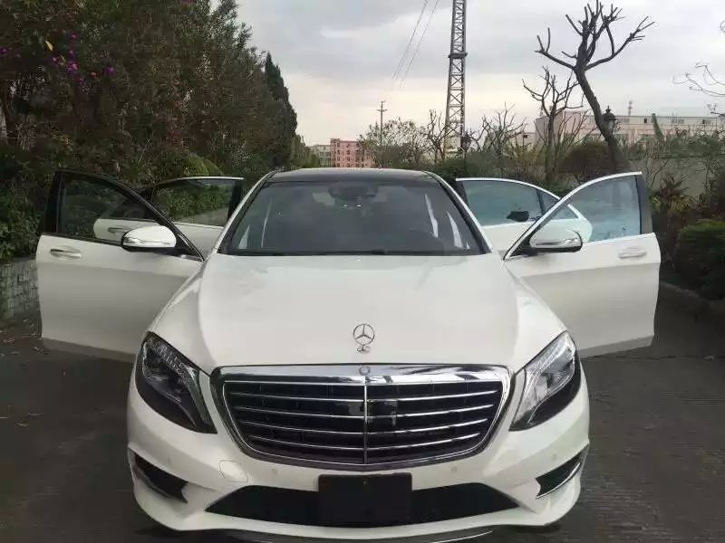 2015奔驰S500 白色黑笼图片