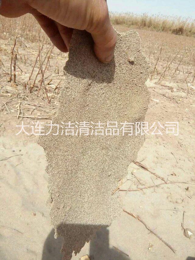 棉花種植圖片/棉花種植樣板圖 (1)