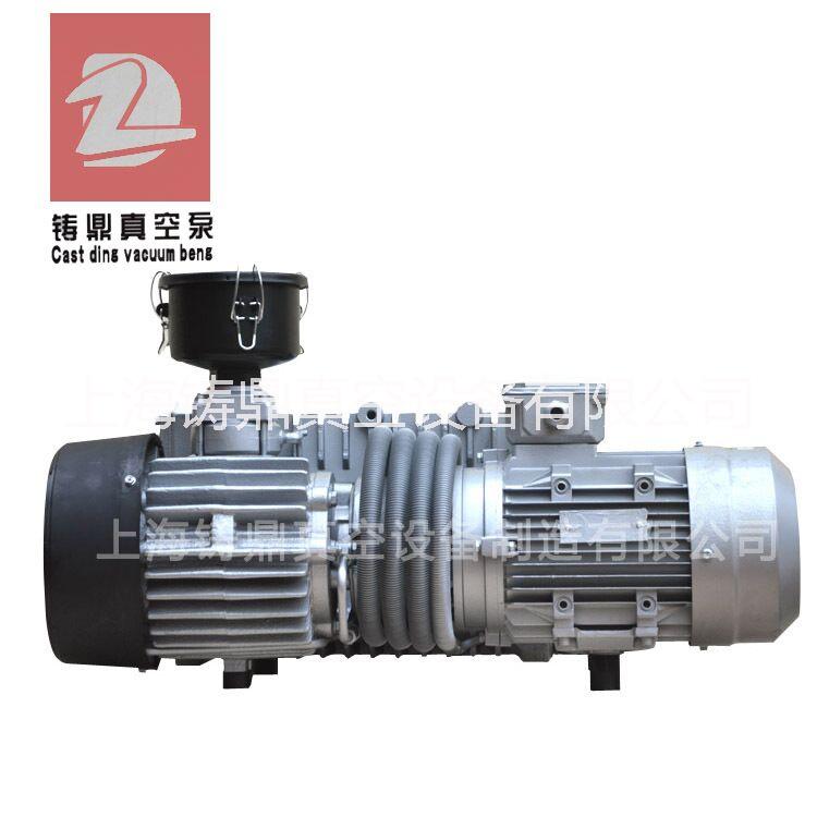 供應(yīng)鑄鼎單級(jí)旋片真空泵XD-202 4.5KW電機(jī)抽速快 可定制非標(biāo)脫泡真空泵