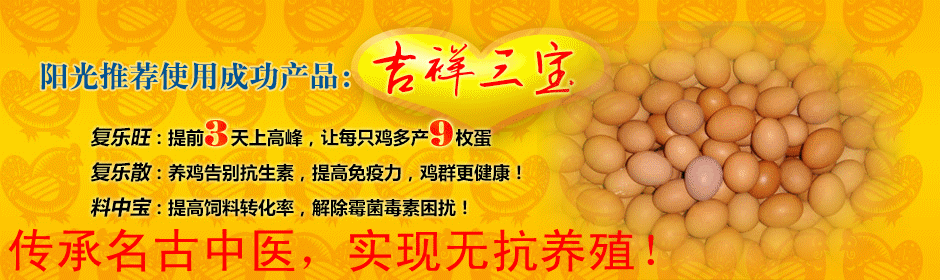 吉祥三寶圖片/吉祥三寶樣板圖 (2)