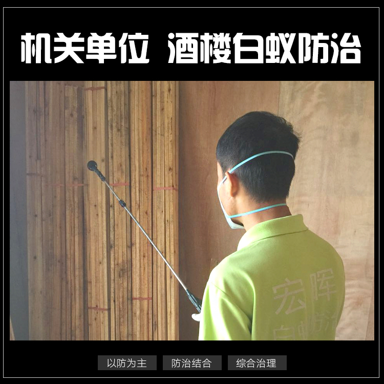 獅山鎮(zhèn)專業(yè)滅白蟻白蟻防治價錢圖片