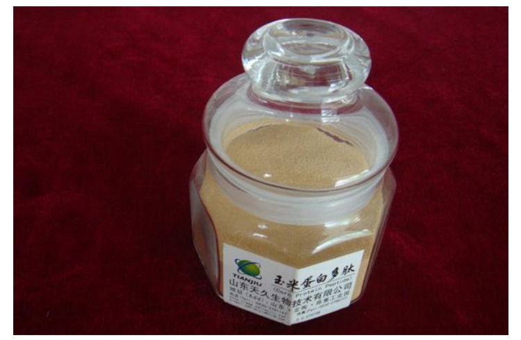 供應(yīng)用于 山東中食都慶牌玉米低聚肽粉 山東中食都慶牌玉米低聚短肽粉