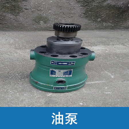 油泵圖片/油泵樣板圖 (3)