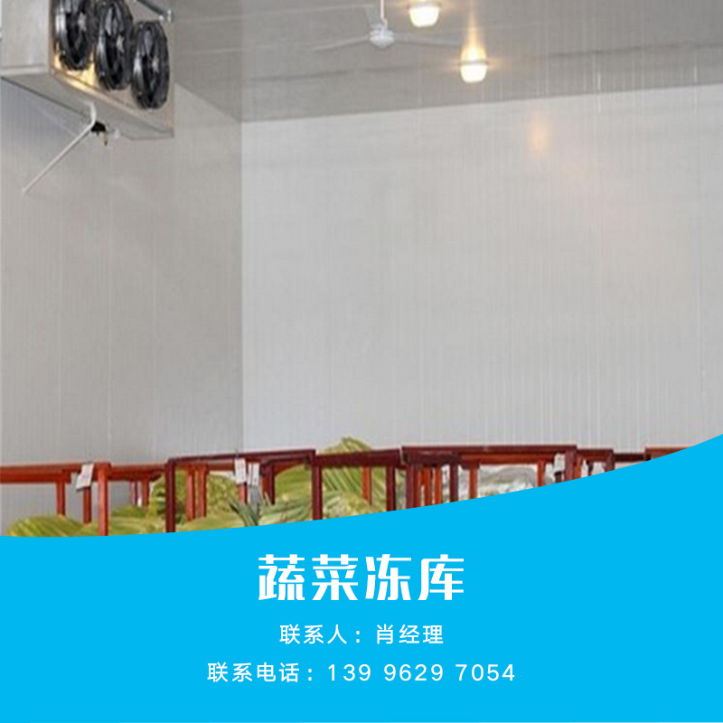 蔬菜凍庫圖片/蔬菜凍庫樣板圖 (1)