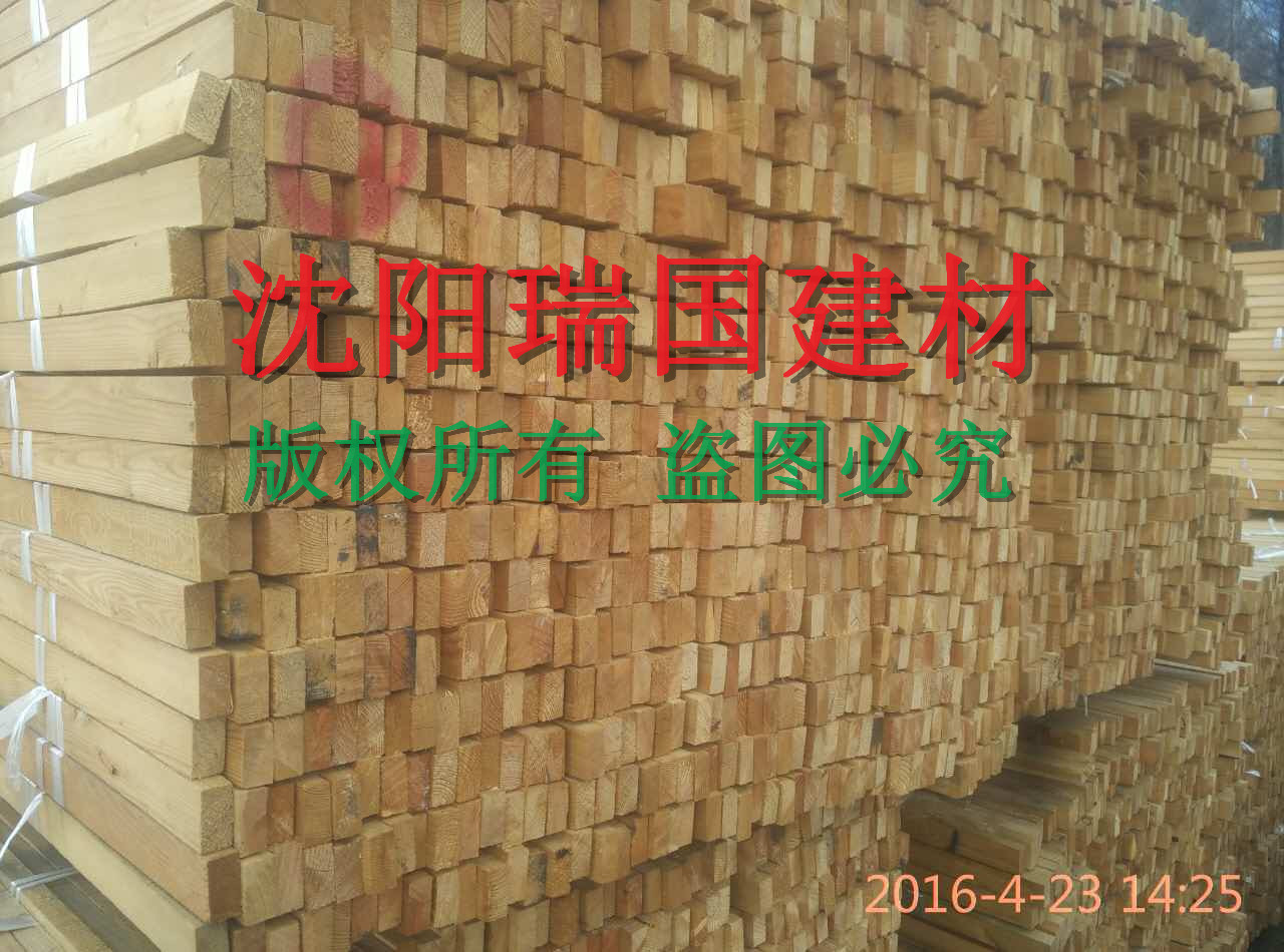 落葉松樟子松圖片/落葉松樟子松樣板圖 (2)