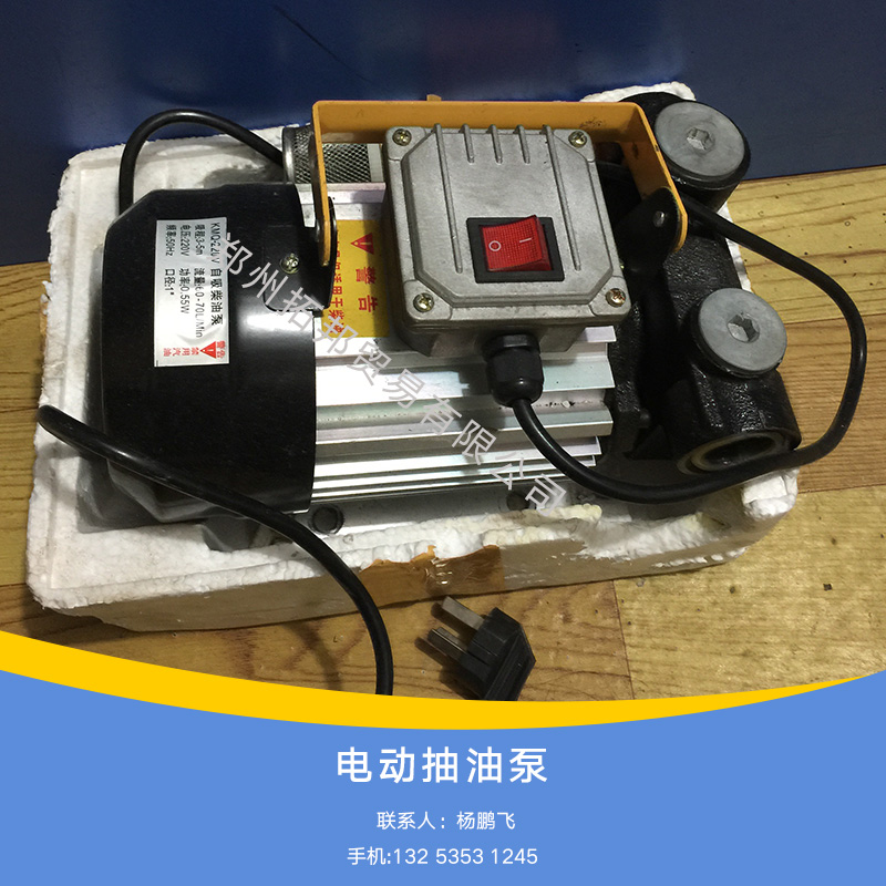 供應220V手提電動抽油泵報價電動試壓泵專業(yè)標準手提電動抽油泵