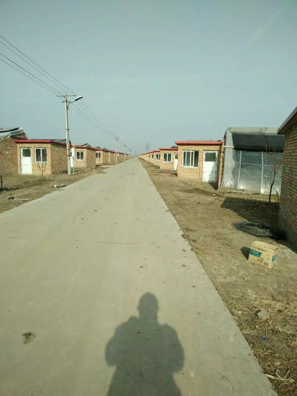 大棚葡萄圖片/大棚葡萄樣板圖 (2)
