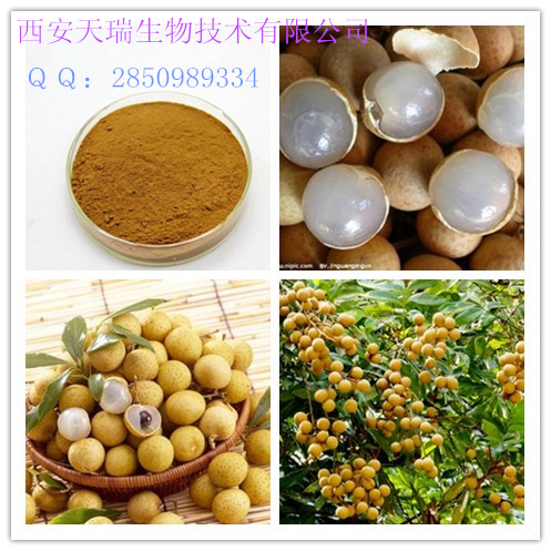 供應(yīng)桂圓粉，天瑞生物桂圓粉，西安桂圓粉