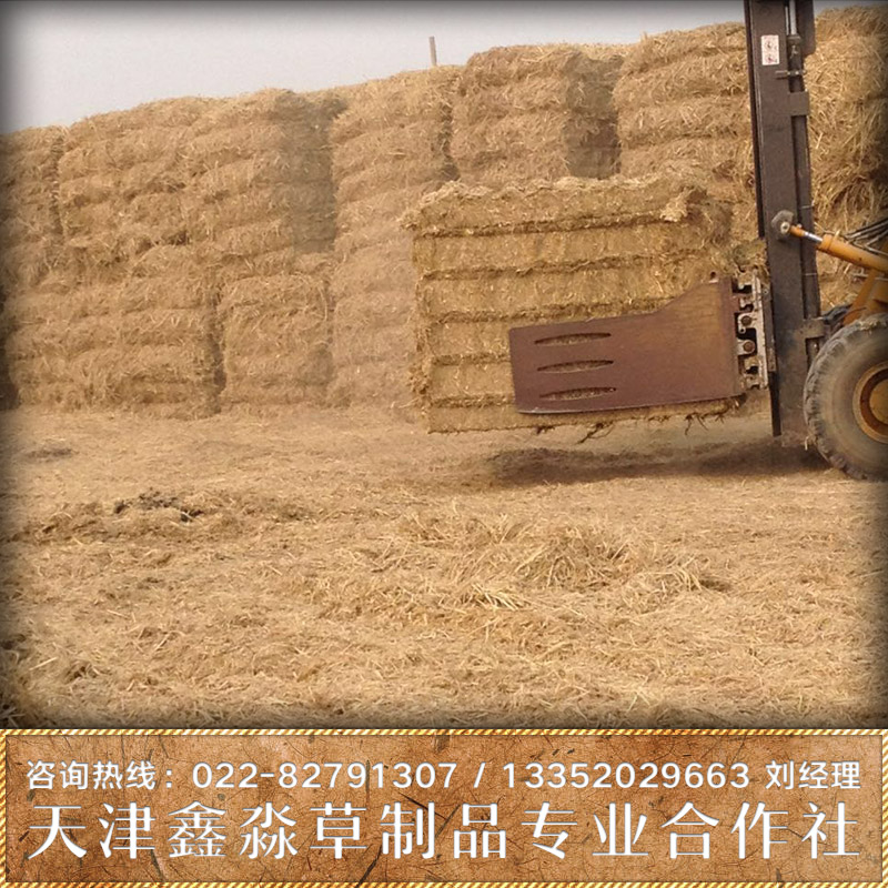 供應(yīng)稻草批發(fā)  稻草價(jià)錢 稻草廠家批發(fā) 稻草廠家直銷