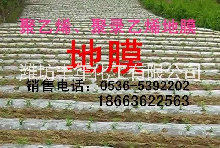 塑料薄膜圖片/塑料薄膜樣板圖 (3)