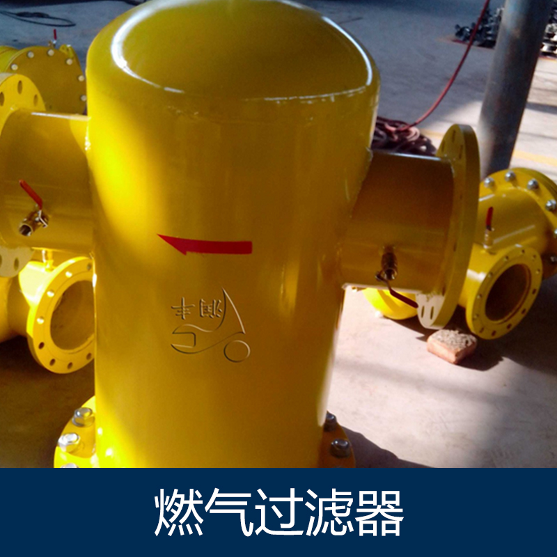供應(yīng)燃?xì)膺^濾器供應(yīng)商 低壓燃?xì)膺^濾器 燃?xì)饣@式過濾器
