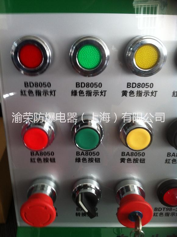 上海渝榮防爆配電箱專用按鈕圖片/上海渝榮防爆配電箱專用按鈕樣板圖 (2)