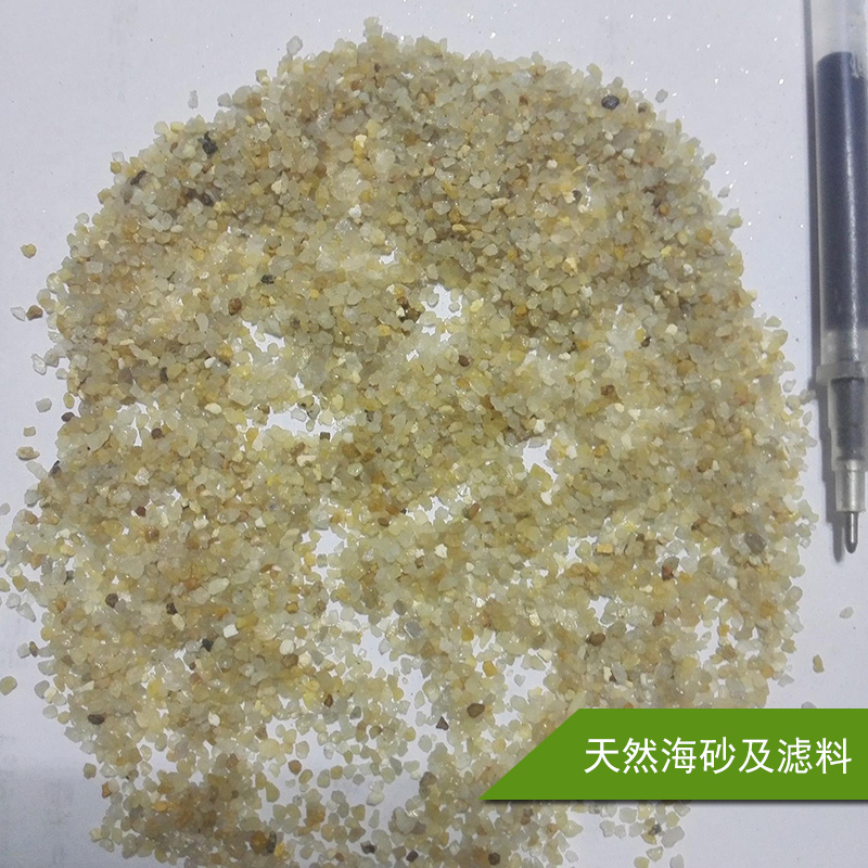 天然海砂及濾料圖片/天然海砂及濾料樣板圖 (3)