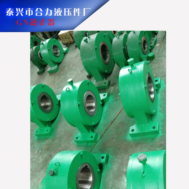 GN逆止器圖片/GN逆止器樣板圖 (2)