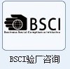 石家庄廊坊衡水BSCI验厂培训图片