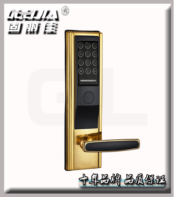 廠家供應(yīng)密碼鎖智能門鎖電子鎖