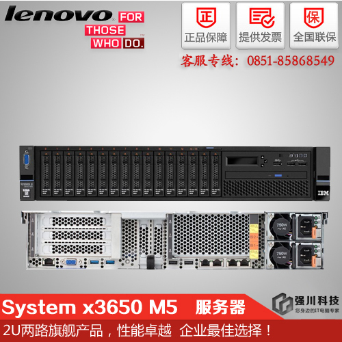 联想System x3650M5图片