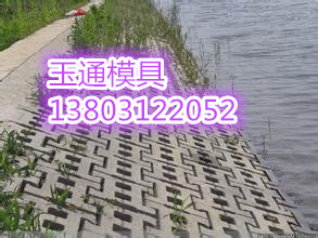 混凝土護(hù)坡模具圖片/混凝土護(hù)坡模具樣板圖 (4)