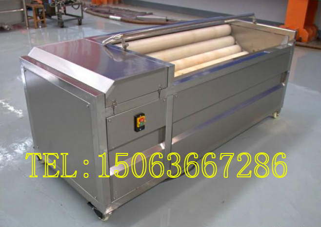 供應(yīng)荸薺清洗機(jī)、洗馬蹄機(jī)、洗荸薺機(jī)、馬蹄清洗機(jī)