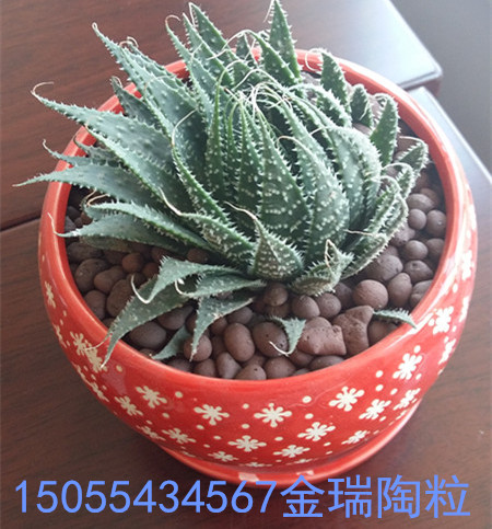 花卉陶粒图片