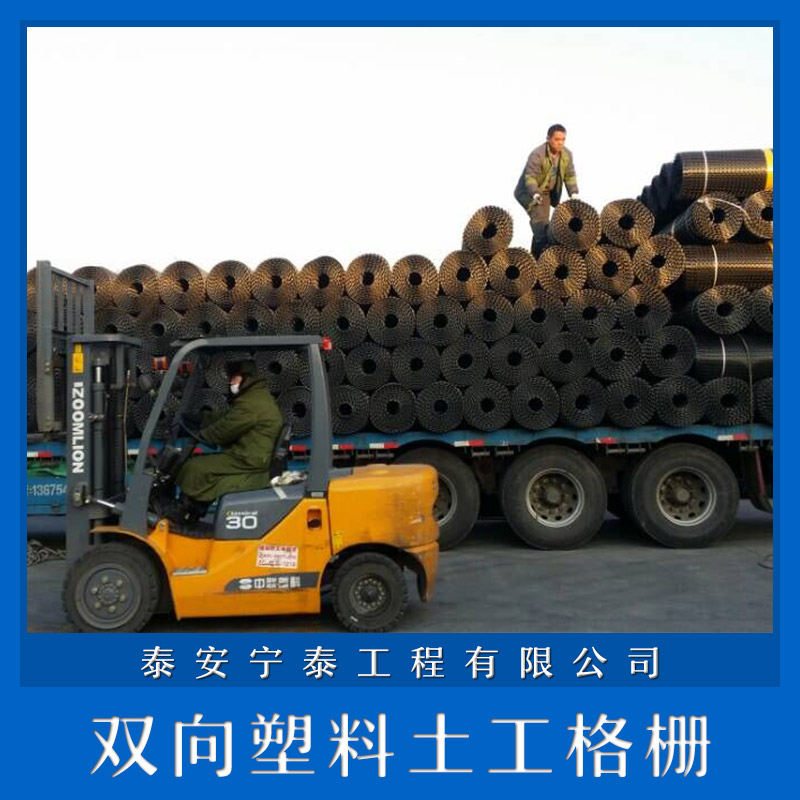 雙向土工格柵圖片/雙向土工格柵樣板圖 (2)