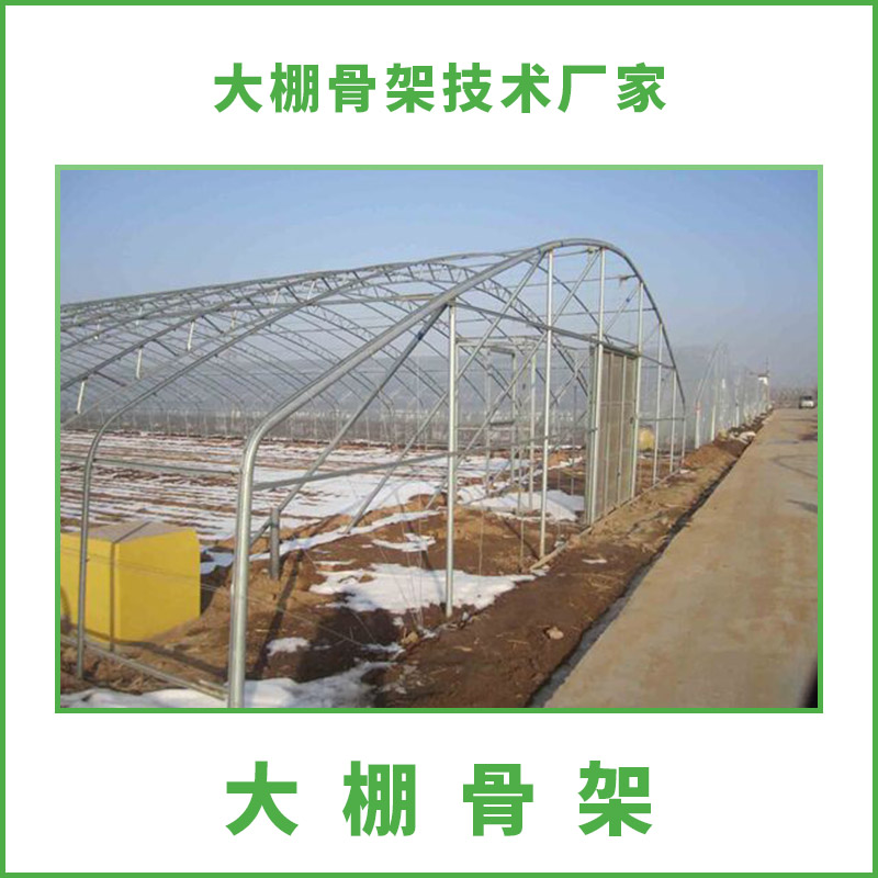 大棚骨架圖片/大棚骨架樣板圖 (4)