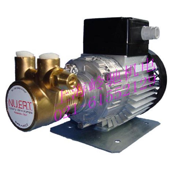 供應(yīng)意大利單相黃銅旋轉(zhuǎn)葉片泵高壓泵