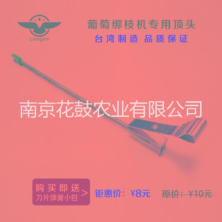 新疆葡萄綁枝卡圖片/新疆葡萄綁枝卡樣板圖 (3)