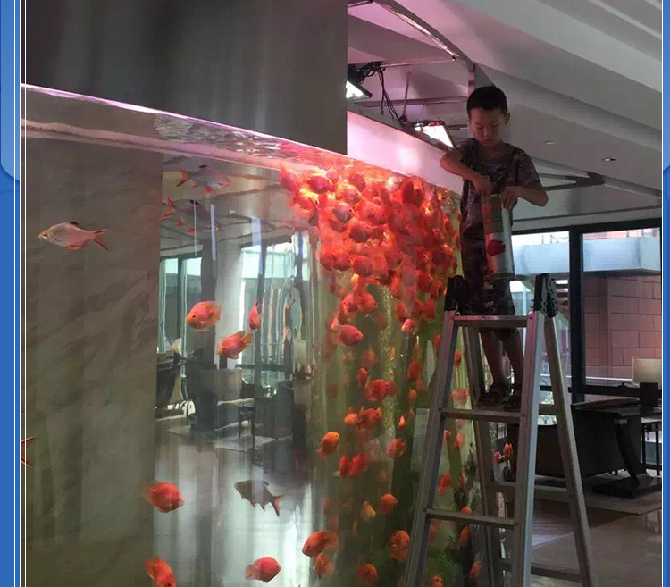 溫州亞克力魚缸廠家圖片