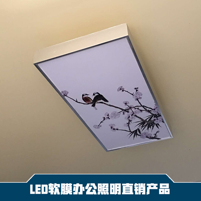 辦公照明圖片/辦公照明樣板圖 (1)